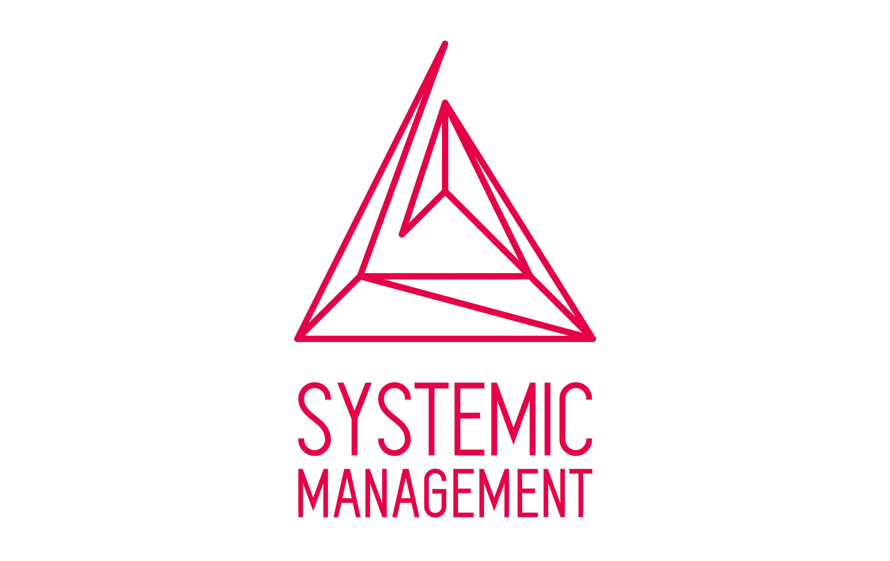 Systemic Management © 2016 Joana Regojo (www.joanaregojo.com)